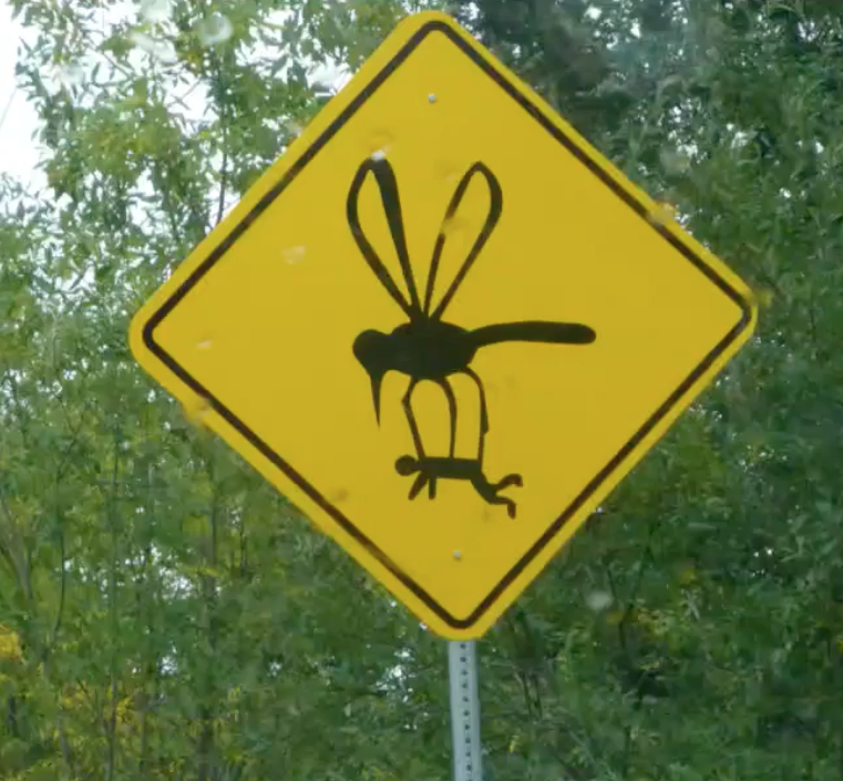 AndyBumatai's tweet photo. Believe it or NOT!  According to Andy, one of his macho friends ended up breaking his 52" TV when a flying cockroach flew towards him.  He was just trying to evade dat buggah.  Believe it or not! 🌺 It's ALOHA here, join us!🌴

#Hawaii #alohahere https://t.co/6ssH0va3W2