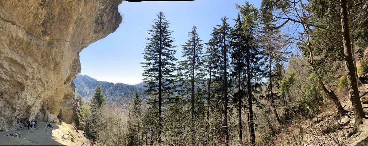 HLively_'s tweet photo. 📍Smoky Mountains⛰

Couldn’t have asked for better weather than what we got today! https://t.co/SY9N97nBLl