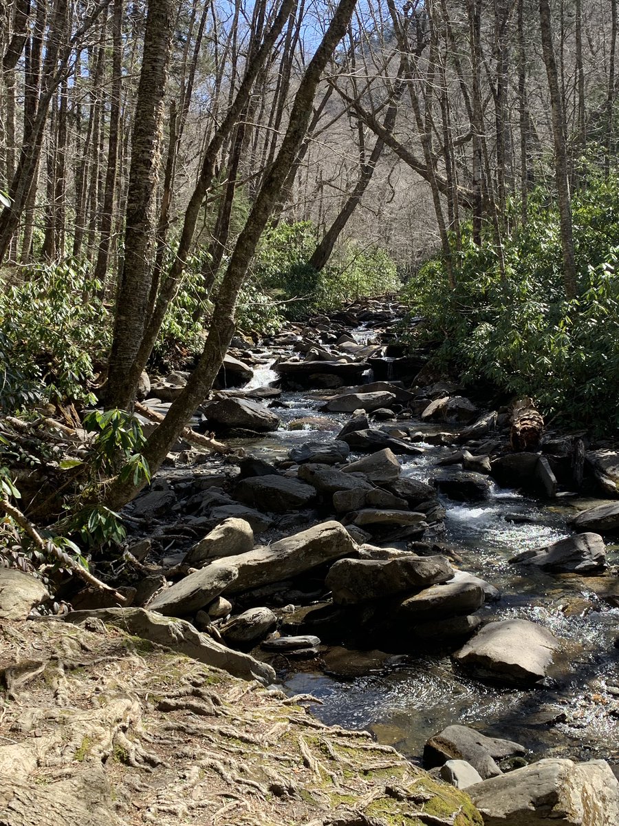 HLively_'s tweet photo. 📍Smoky Mountains⛰

Couldn’t have asked for better weather than what we got today! https://t.co/SY9N97nBLl