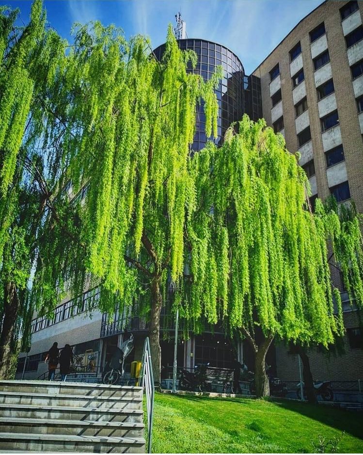 Tarbiat Modares University🏢 tweet media