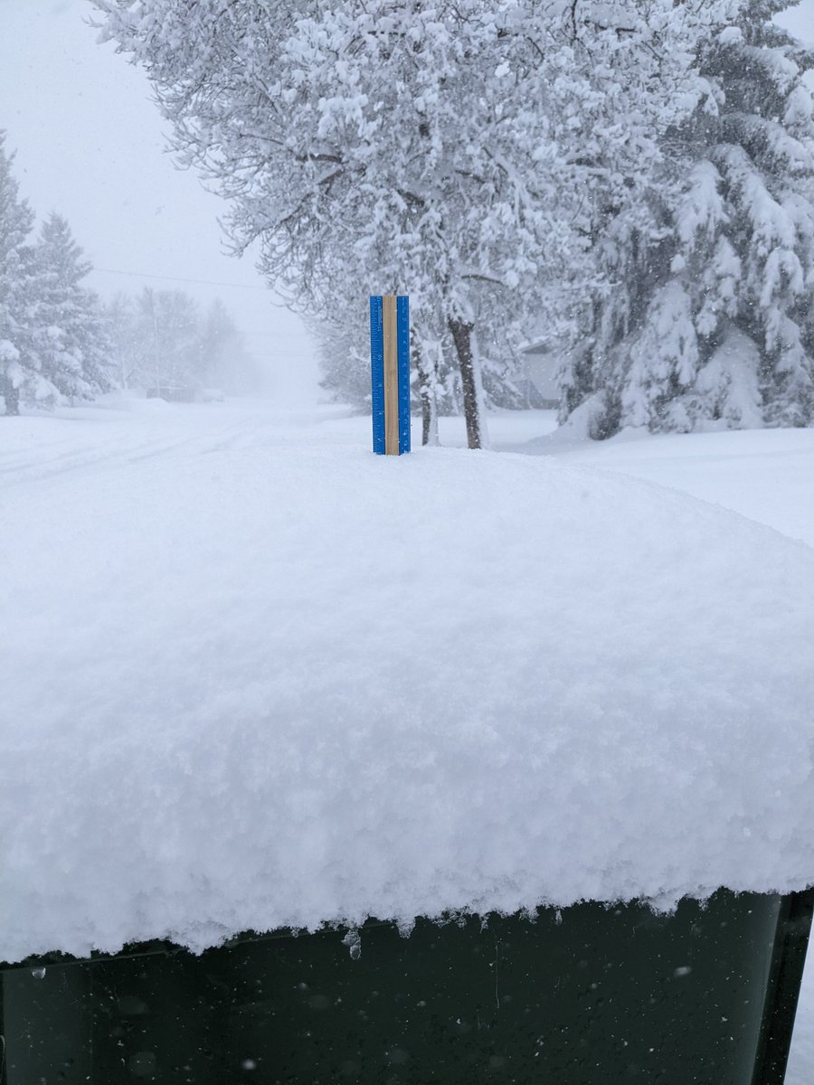 cookit79's tweet photo. @joshclassenCTV On top of the garbage can that was clear yesterday - that was about 12:30. https://t.co/jft2KmzT4i