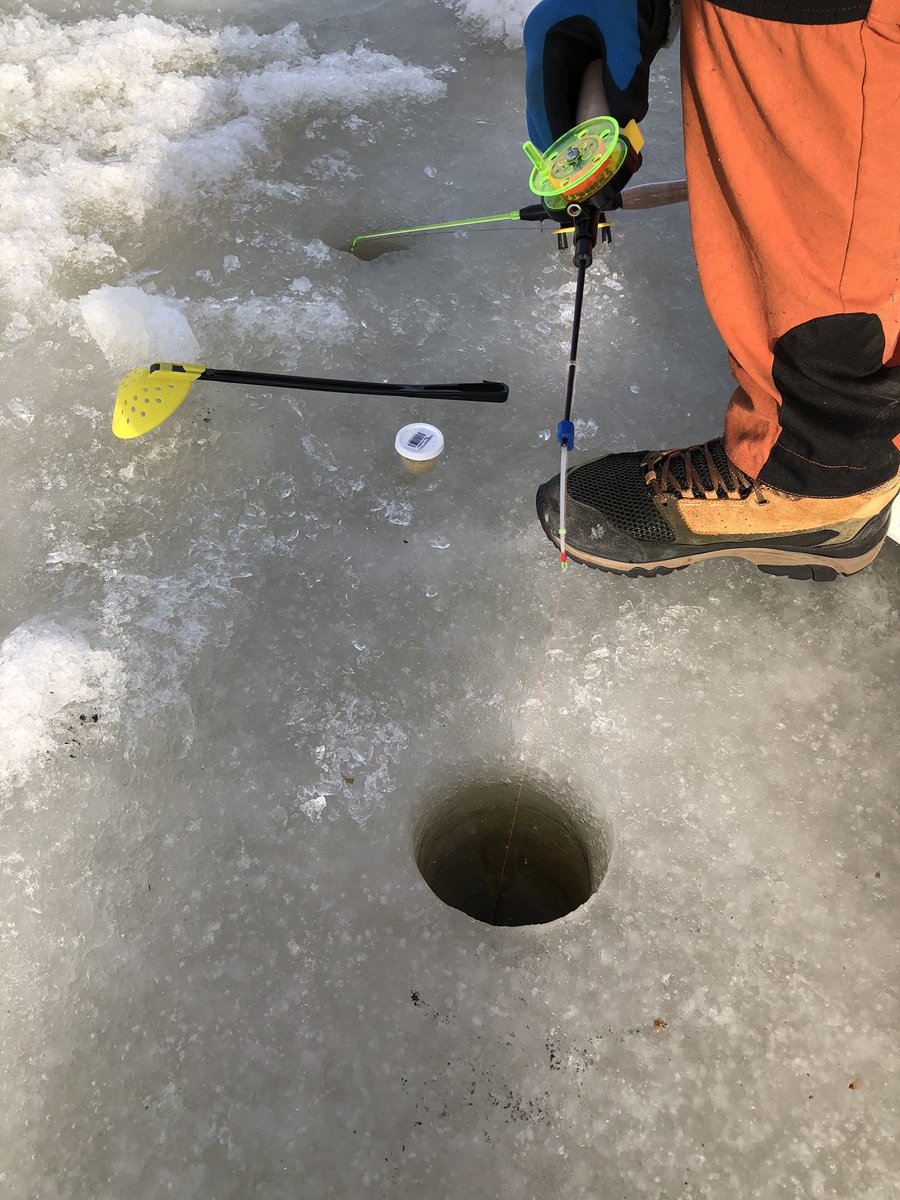 remellinsonja's tweet photo. Kriiseissä ruuan omavaraisuus korostuu #pilkillä #kevätpäiväntasaus #vanhansatamanlahti #kokkola https://t.co/W0YM0Ij0C2