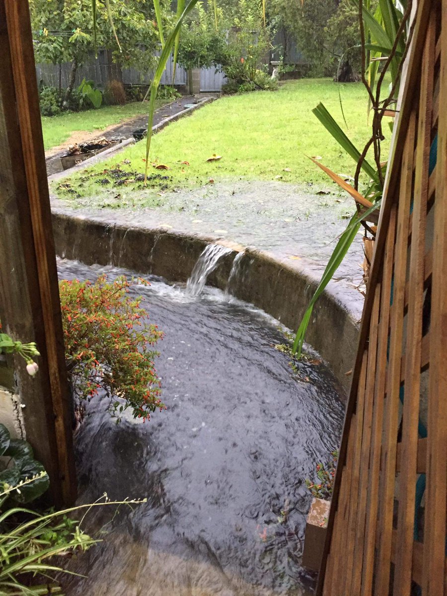 librarymini's tweet photo. @JohnJCampbell remember when you did a piece on my mother’s place trying to get council to fix the storm drain. Still not fixed 😔 https://t.co/s5b37kDbnA