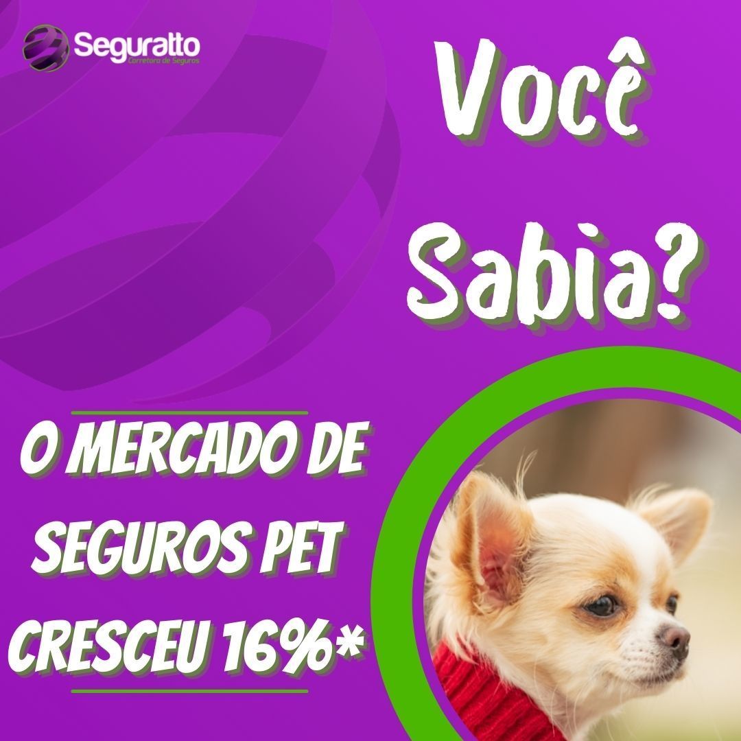Seguratto's tweet photo. O número de empresas oferecendo planos de assistência médica para animais de estimação não para de crescer! E o percentual de famílias visando um maior bem-estar do seu filhinho peludo está mais ainda! https://t.co/GYZmlhltCg