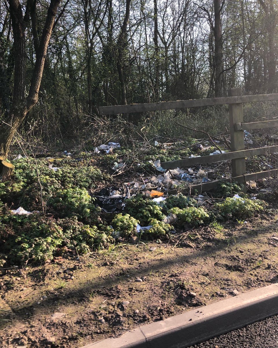 OWHA11's tweet image. Roadside verges in Britain 😡photos of the A45 today #contamination #pollution #microplastics #nature #wildlife #ecosystems #dontbeatosser #keepbritaintidy #pickuplitter #litterbug #plasticpollution @KirstieMAllsopp