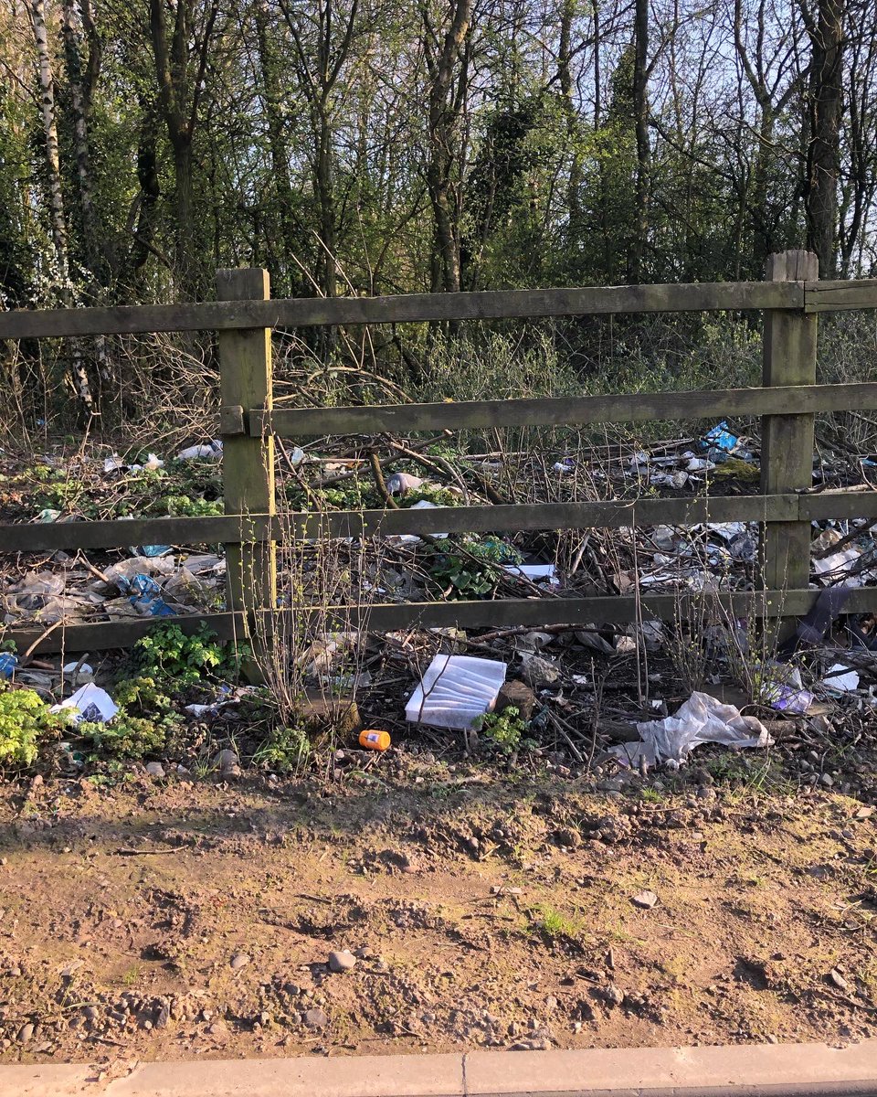 OWHA11's tweet image. Roadside verges in Britain 😡photos of the A45 today #contamination #pollution #microplastics #nature #wildlife #ecosystems #dontbeatosser #keepbritaintidy #pickuplitter #litterbug #plasticpollution @KirstieMAllsopp