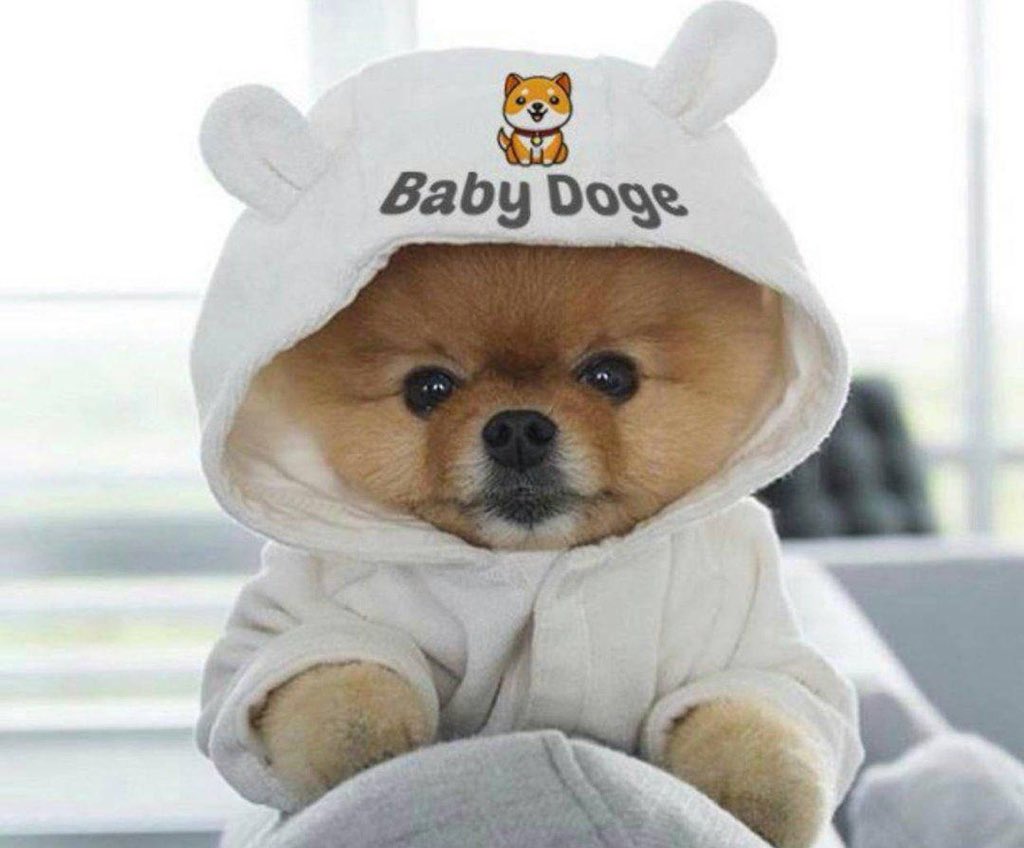 Deinha22's tweet photo. @CryptoThro #BabyDogeCoin https://t.co/3whvgsbIXA