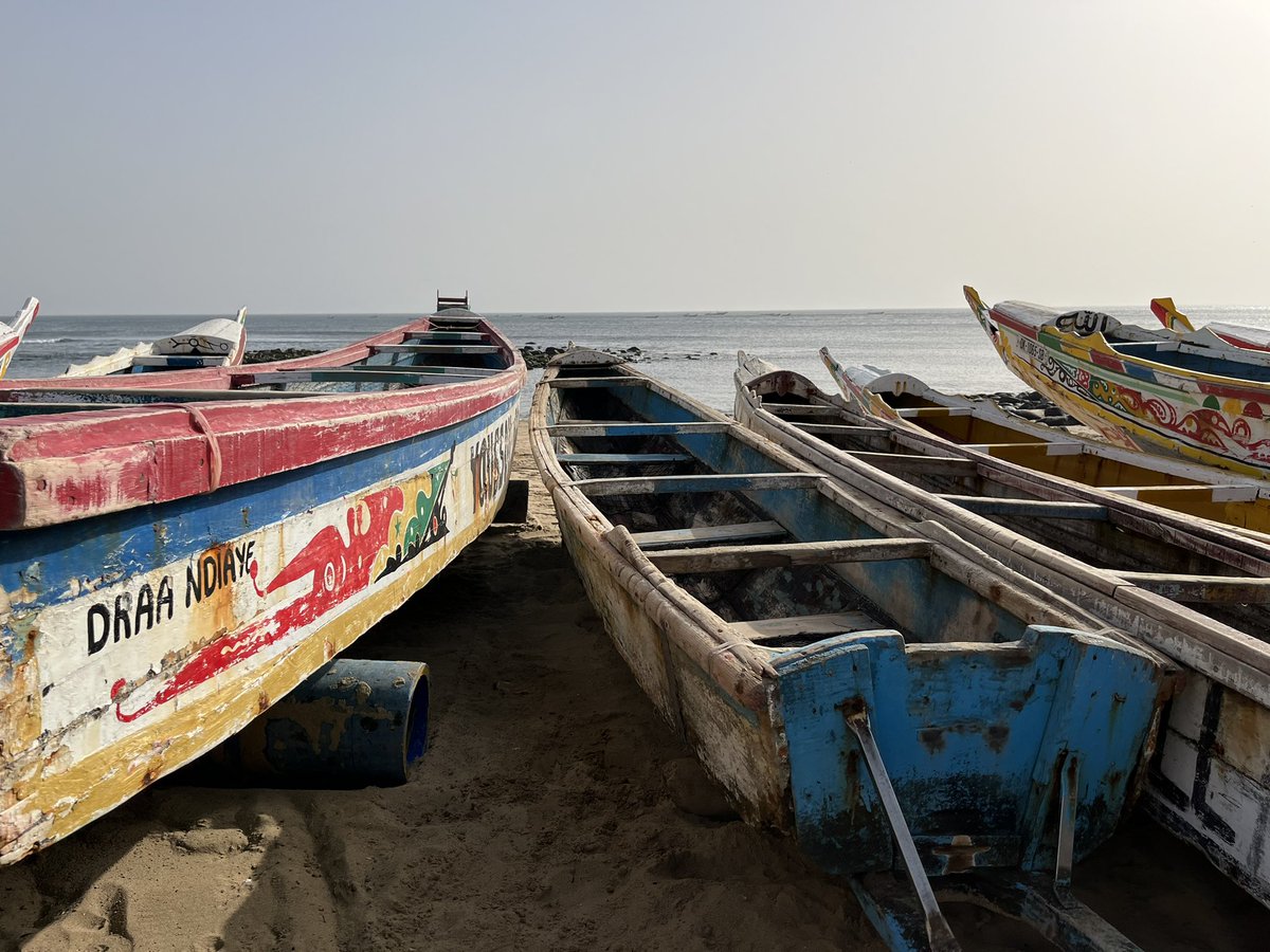 Nickodemus tweet media