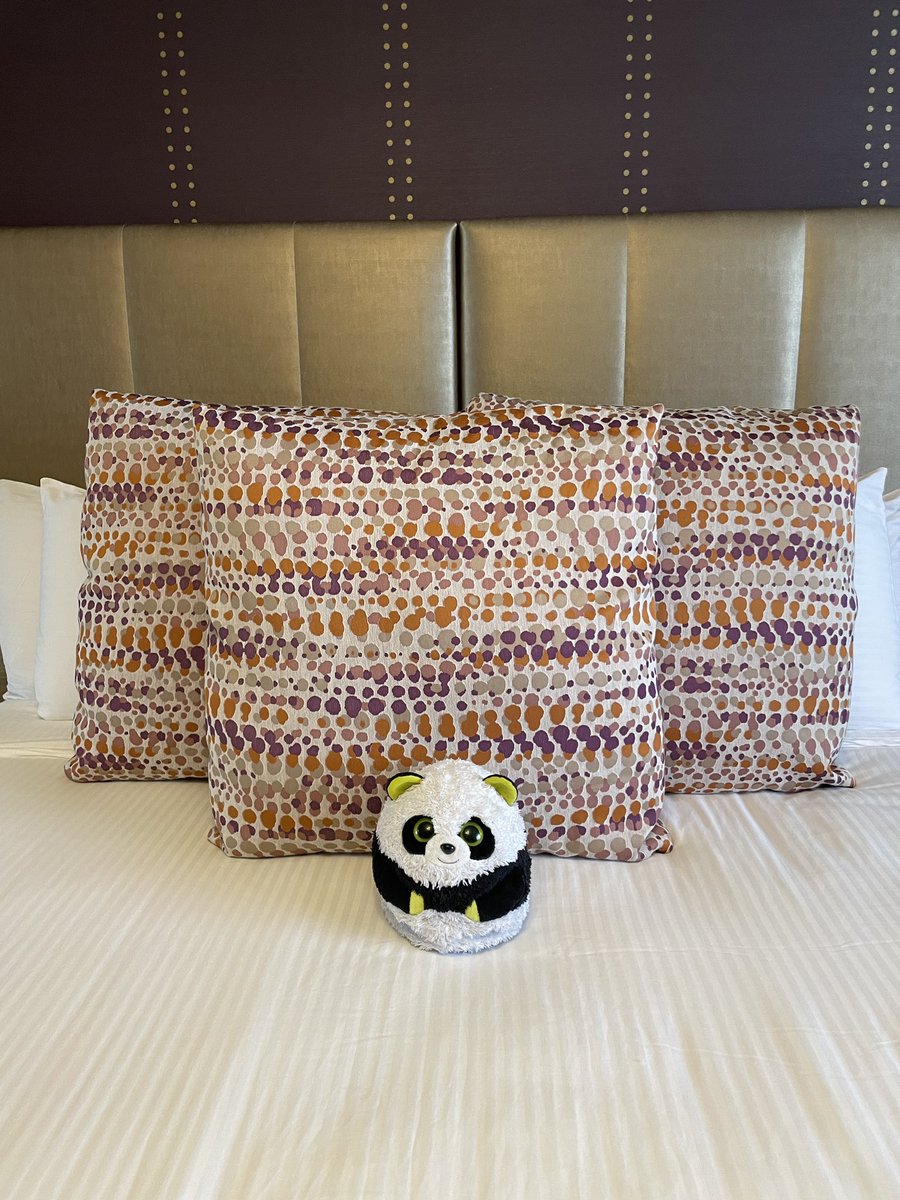 MrPandaJPanda's tweet photo. Surprise! I’m traveling again! Thanks again @delta for a superior traveling experience. Anyone want to guess where I am?

*Hint: it’s one of my most very favorite cities that I’ve come to know like the back of my paw 🐼 
#Panda #Travel #WellTraveledPanda 
#VIP #VeryImportantPanda https://t.co/Mx8uRuN8JS