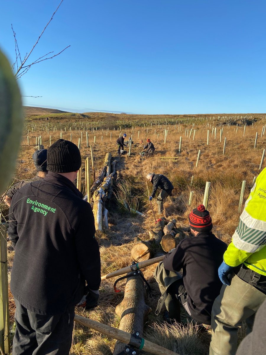 merseyforest's tweet photo. It's #InternationalDayofForests2022 🌳 Thank you to all contractors, partners and volunteers working hard alongside our team this planting season to help grow the Mersey #Forest
.
.
.
.
.@Go_CheshireWest @CheshireEast @LpoolCityRegion @lpoolcouncil #MoreFromTrees https://t.co/ZFSqgUa46M