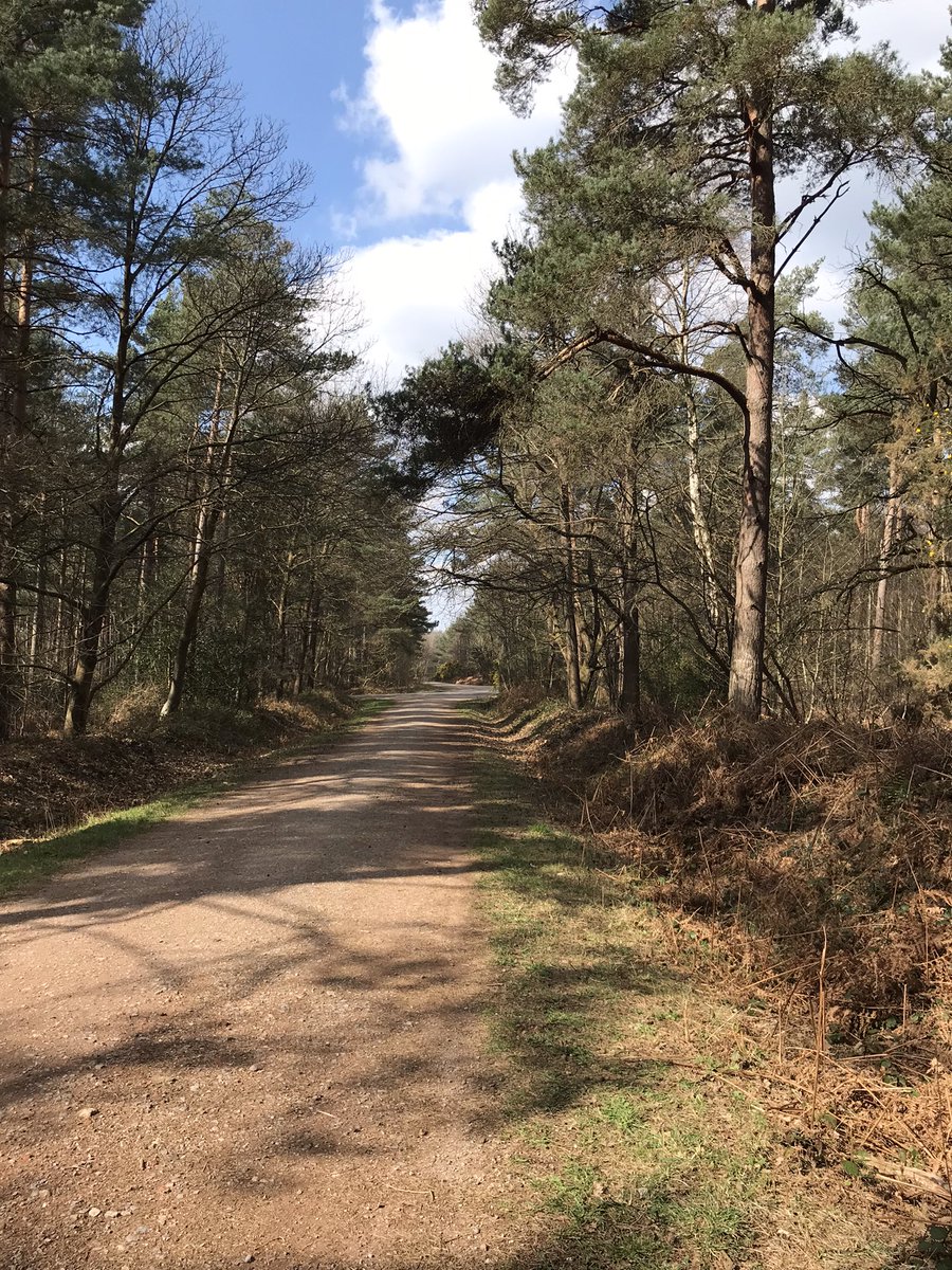 missarksey's tweet photo. Beautiful walk in the sunshine this morning listening to The Treeline by @BenRawlence #startofspring #SundayMorning https://t.co/1rm30WY3LB