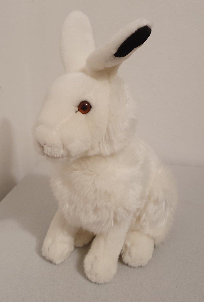 1000Room's tweet photo. White #WWF #AnnaClubPlush #Plush rabbit.  He is about 30cm. https://t.co/Q6jGAzjDyu