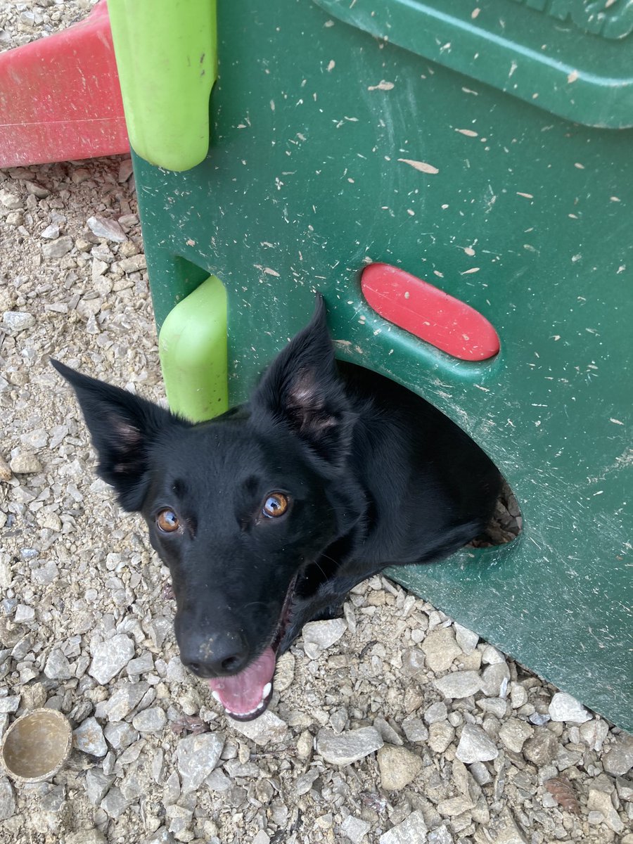 Well I’ve done a really good job at staying up to date and active on Twitter haven’t I 🥴😬😅