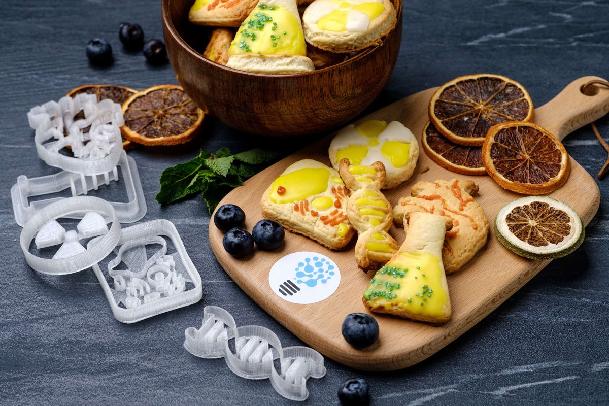 BiocraftLab's tweet image. Our scientific cookie cutters are now available on etsy!  
 etsy.me/34ZtJEW

#giftsfordoctors #promotiongift #giftsformedicalstudents #sciencecookies #indivdualcookie #cookiecutters #nerdcookies #dnacookie