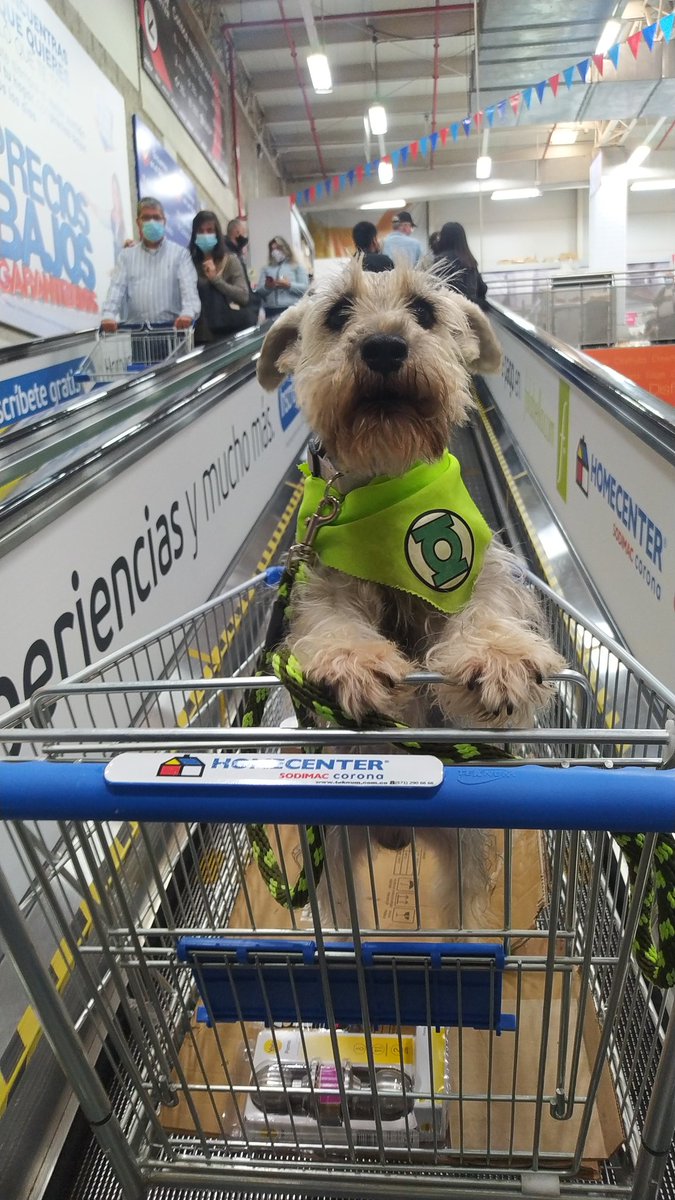 GicyMusic's tweet photo. #petfriendly @Homecenter_co https://t.co/UyFdGGpMYM