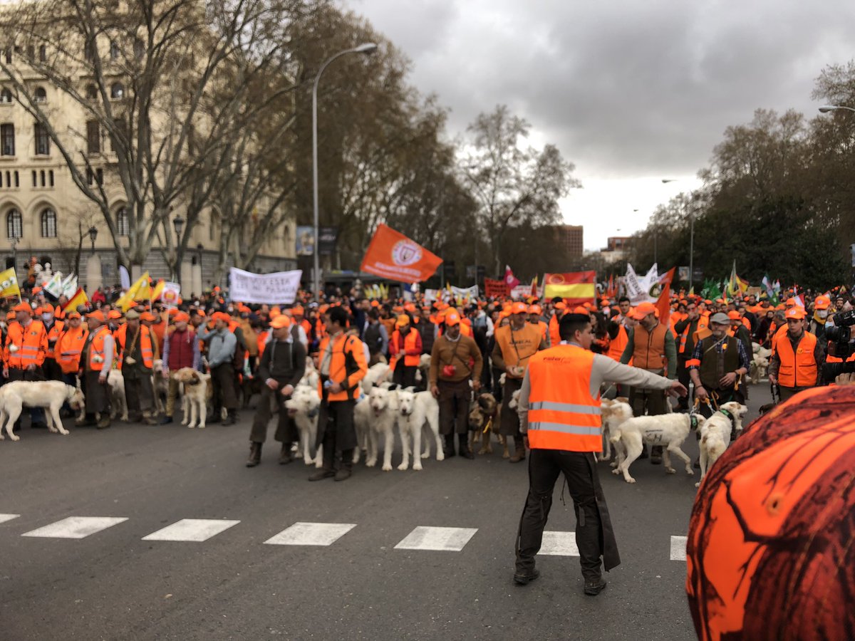 AlvaroCapi5's tweet photo. #20mrural #mareanaranja #vivalacaza https://t.co/LS8Vy1r9EV