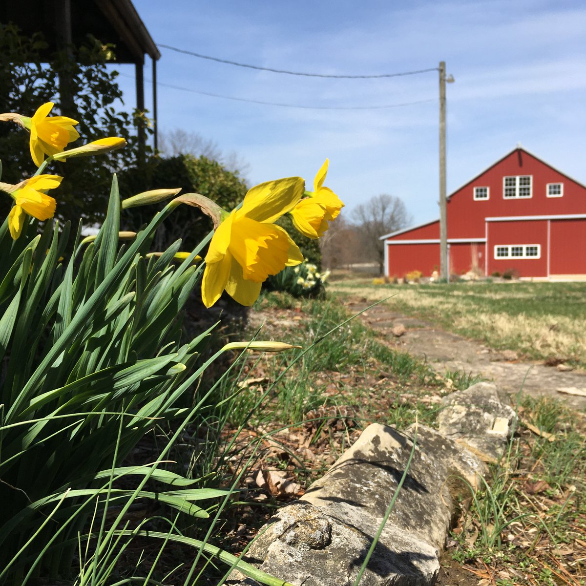 hvtreefarm's tweet photo. Spring marks the beginning of Christmas tree planting at the farm! Once the ground dries out from all the rain, we’ll be busy planting seedlings. #HappySpring2022 #HVTF #christmastreefarm https://t.co/5kkDvlwCMU