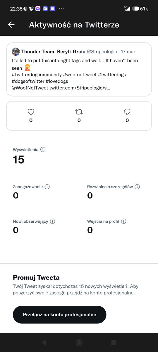 Thunder Team: Beryl i Grido tweet media