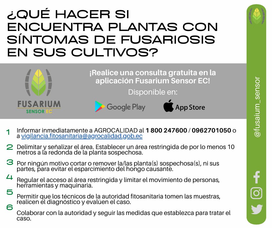 Fusarium Sensor EC tweet media