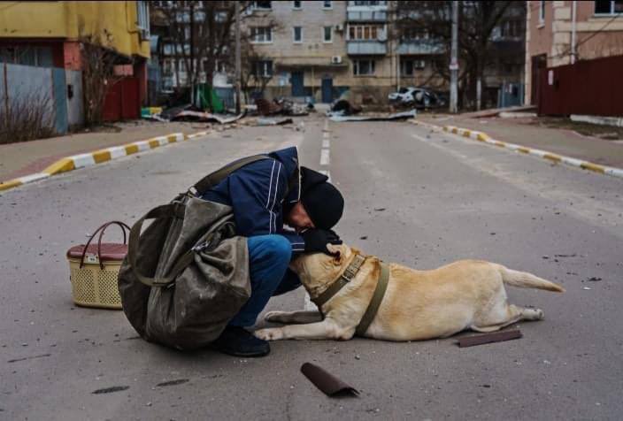 MSharif1990's tweet photo. Heartbreaking photo from #Ukraine by @yamphoto. https://t.co/KVzGEhEorE