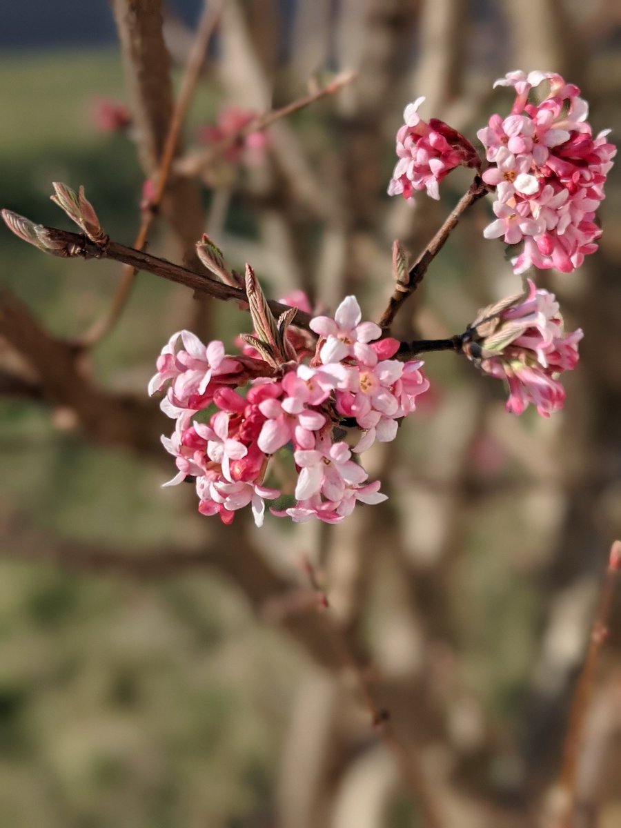 "But for right now, until that completeness, we have three things to do to lead us toward that consummation: Trust steadily in God, hope unswervingly, love extravagantly. And the best of the three is love." 1 Corinthians 13:13