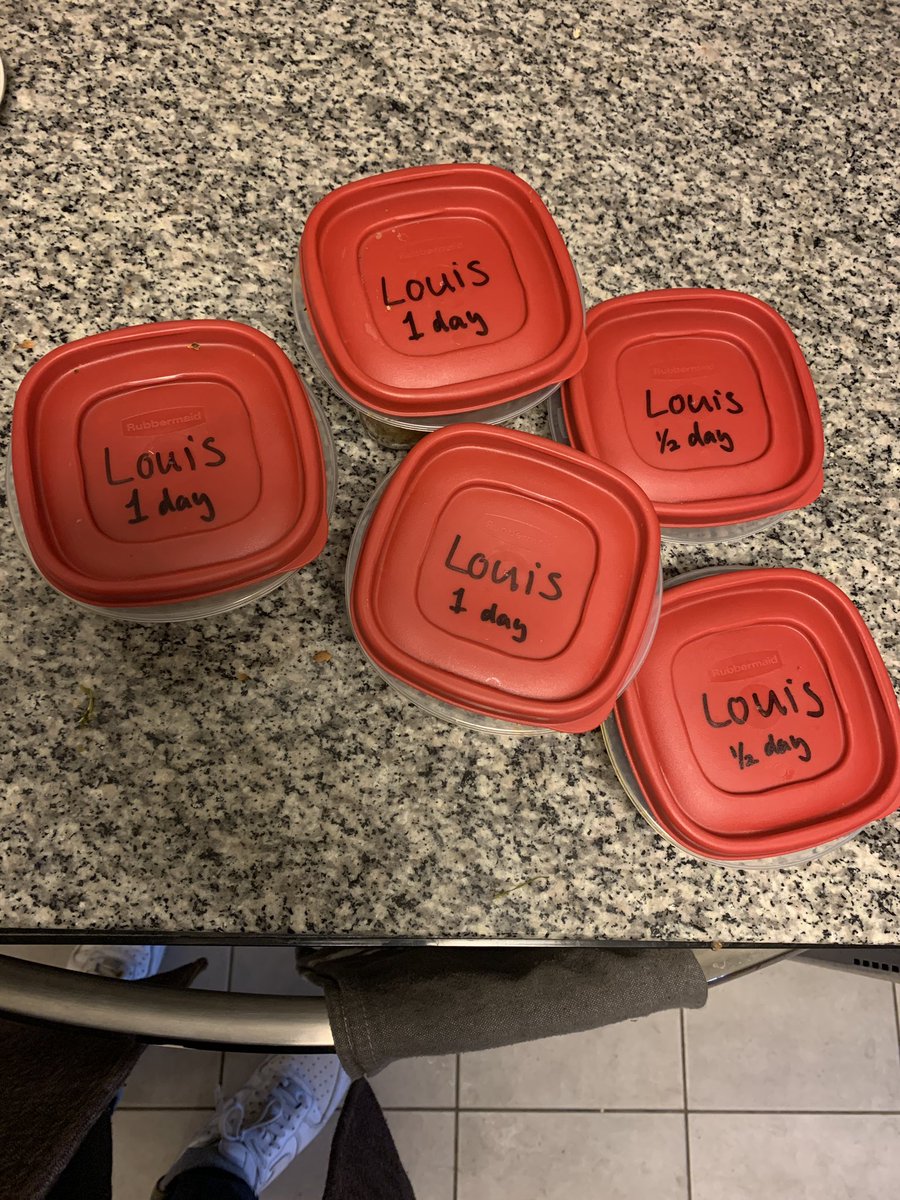 Not me crying while packing homemade breakfast/dinner for my dog before dropping him off at boarding for the first time 😭🐶