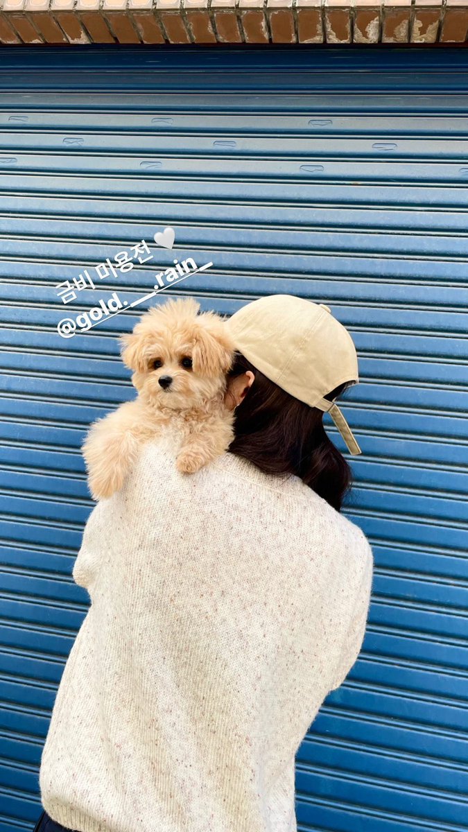 fxseulbi's tweet photo. Mi corazón fue robado esta tarde y es gracias a la salida de ‘The Feels’ junto a @2lovers_jpg, quienes están trayéndonos la celebración a lo grande de la #𝟚𐀶𝐏rom. 🔒 no cabe duda de que yo estoy más que lista para llenarles la fyp de tiktok con el dance practice de su canción. https://t.co/r9djLLvmQU