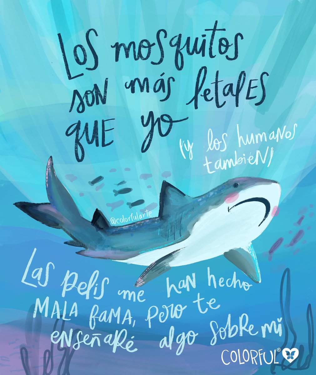 colorfulina's tweet photo. Con respecto al tiburón en San Andrés https://t.co/qGqGfSOVyW