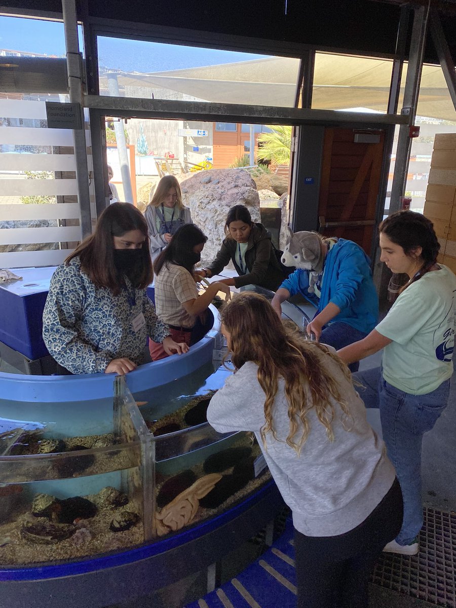 viviansieu's tweet photo. Presented about intertidal ecology at the Girls in Ocean Science conference this weekend and taught students how to take field notes! @intertidalbarbs https://t.co/GEdtiTNG9j