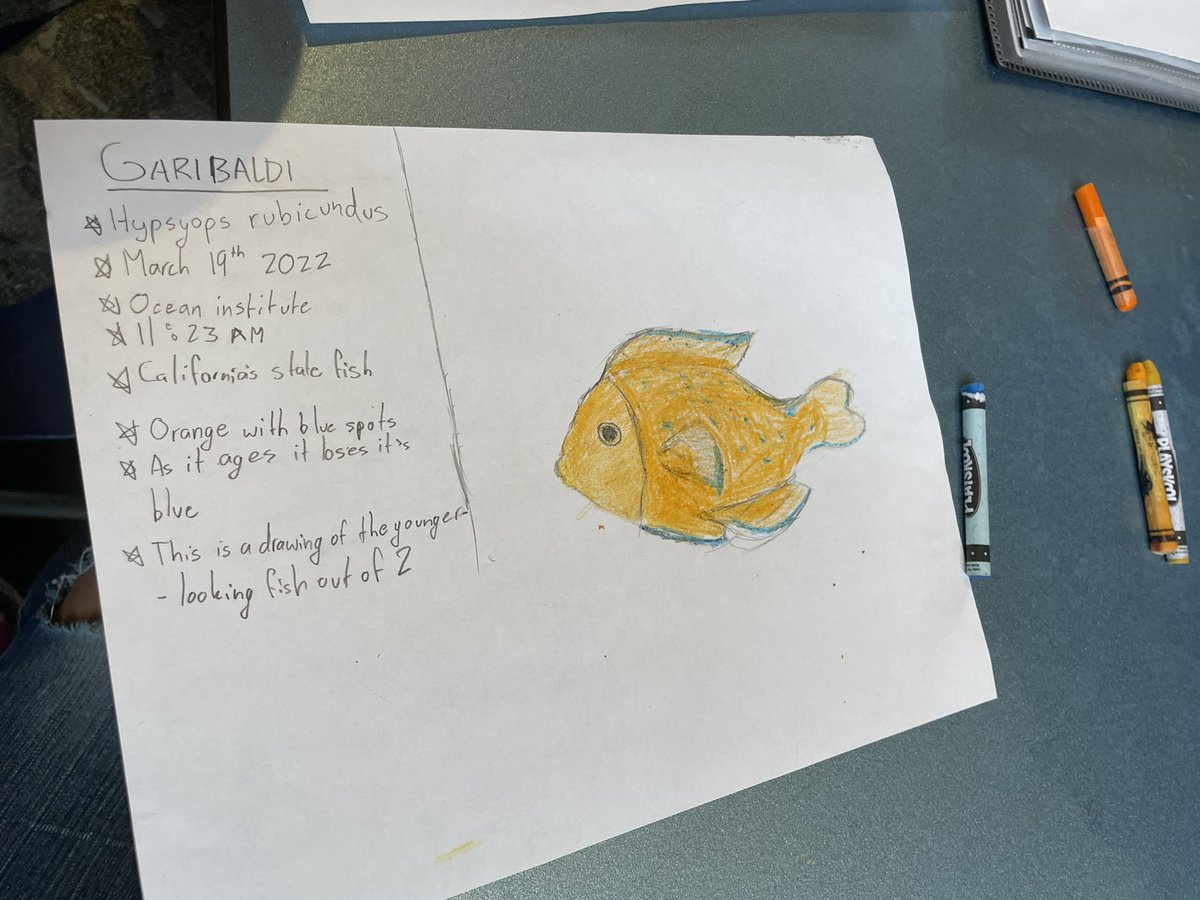 viviansieu's tweet photo. Presented about intertidal ecology at the Girls in Ocean Science conference this weekend and taught students how to take field notes! @intertidalbarbs https://t.co/GEdtiTNG9j