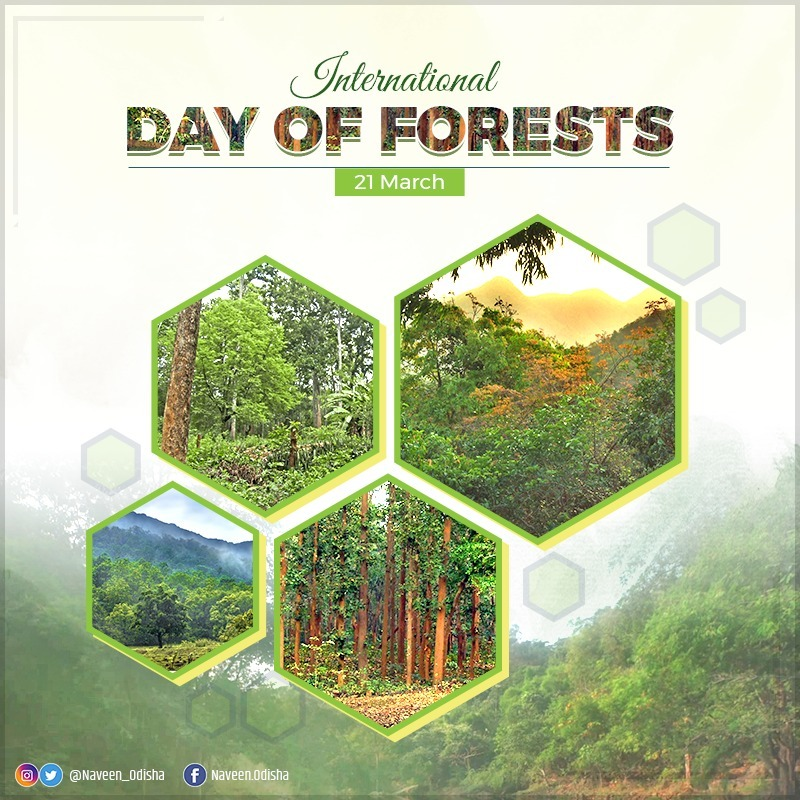 Forests play crucial role to clean water, filter air, protect us from climate change as well as provide countless social, economic and health benefits. On #InternationalDayOfForests, reiterate commitment to continue expanding our forest cover for a greener future. 
#SabujaOdisha