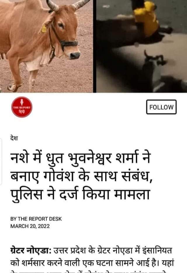 अपनी #संस्कृति का परिचय देता भुनेश्वर शर्मा  #गाय🐂🐄के साथ #बलात्कार करते हुए किया गया गिरफ्तार..