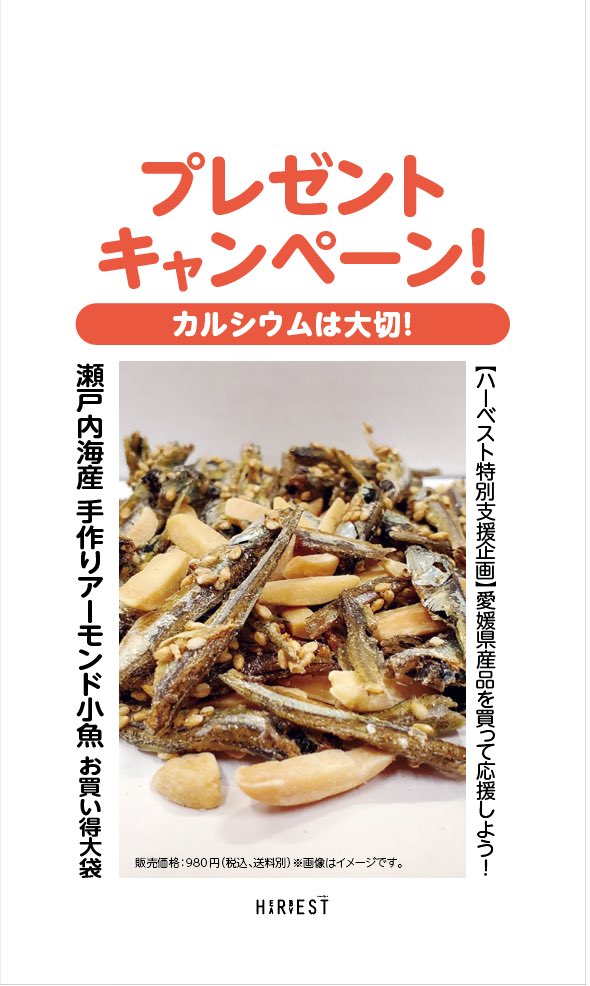 手作りアーモンド小魚370g 菓子 | bitrech.co.jp