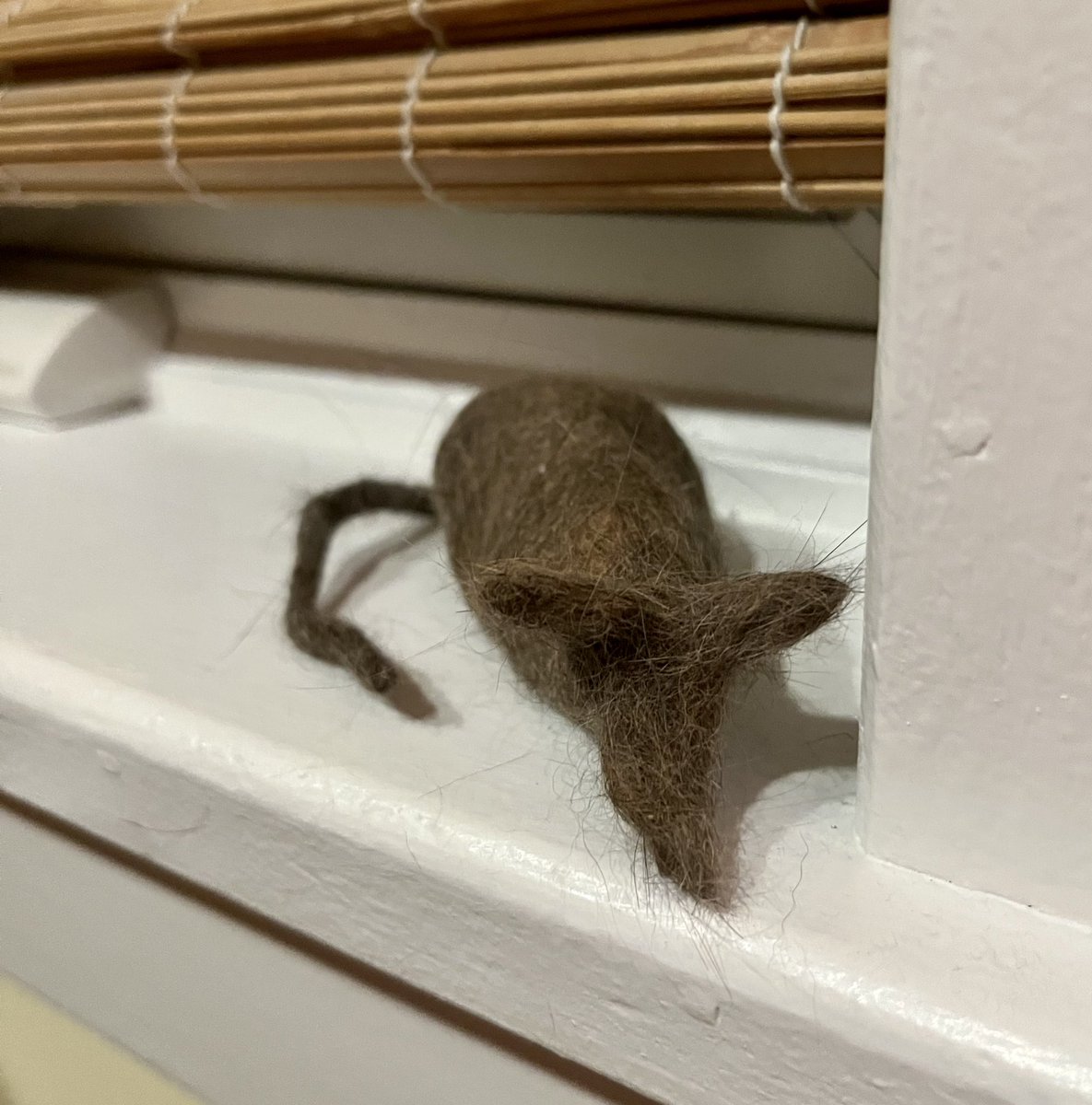 Emily Hurley tweet media