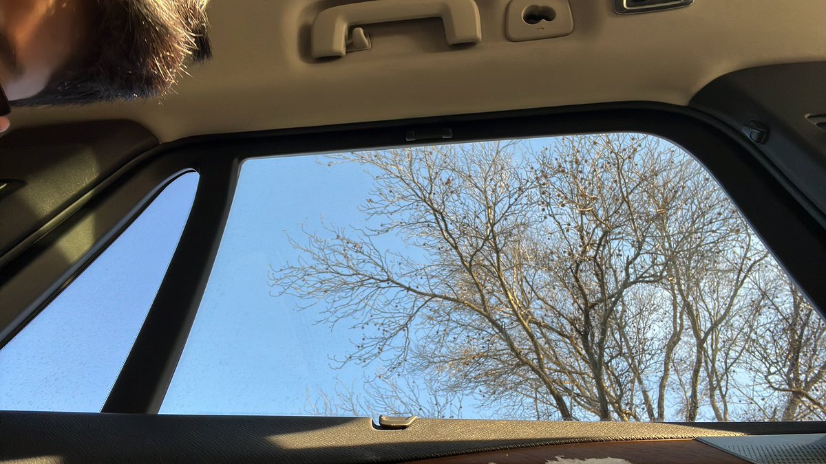 Sh1vify's tweet photo. I took a weird photo of a tree in a car sideways don’t know what else to say#random#idk#tree https://t.co/h54iilfvl2