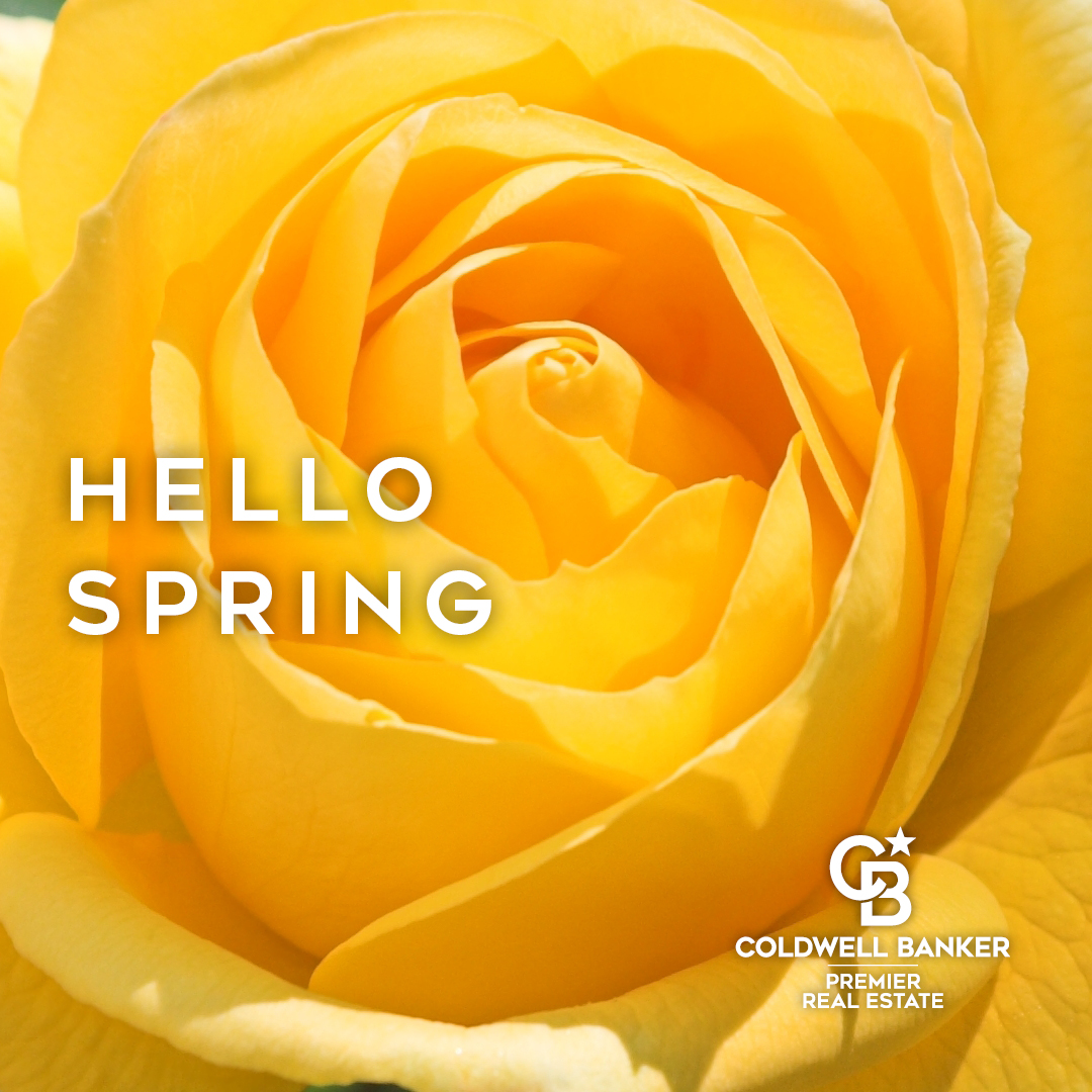 AblakeRealty's tweet photo. 🌼Spring: a lovely reminder of how beautiful change can truly be. https://t.co/OVHX7rahtL https://t.co/BN8Gl8kWlj