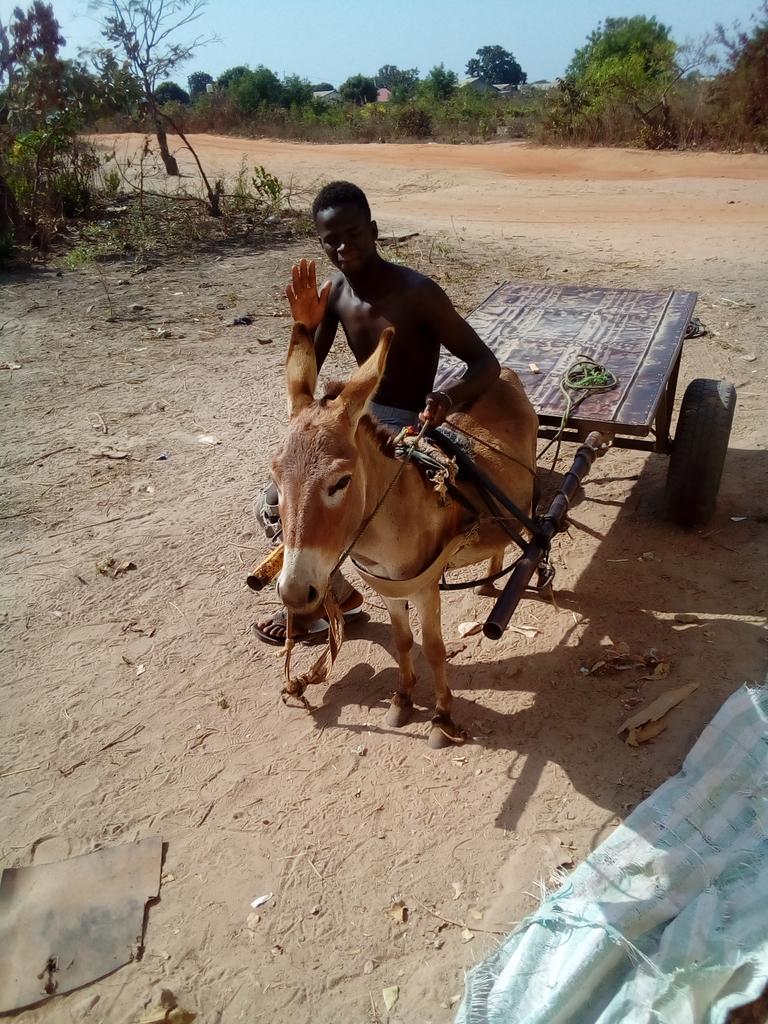 aliuejallow tweet picture