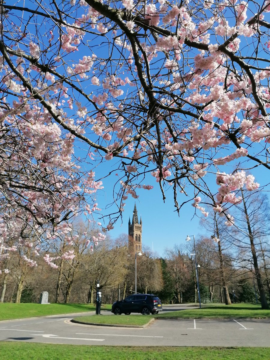 Zhaozhong CHEN tweet media