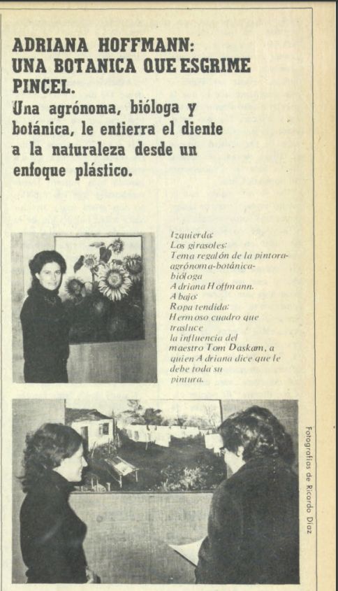 isamolinavale's tweet photo. Recién estaba leyendo la revista Paula en @MemoriaChilena y encontré en el número 149, de 1973, este artículo sobre Adriana Hoffmann y su exploración de la pintura. En agosto de ese año incluso hizo una muestra. Por supuesto la naturaleza fue su inspiración 🌱🌿 https://t.co/j0XFTpw1hp