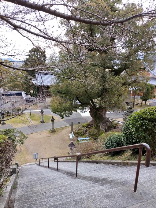 寺伝によれば大宝三年(703)、3月21日に当山は開かれました。

よって新暦と旧暦の違いはあれど、日付上ひとまず開創1320年を迎えます。

八十代目にしてちょっと色々やってますが、ちゃんと思うところあっての事です。

あるんです。本当に。

友奈ちゃんおめでとうございます🎉

#結城友奈生誕祭2022 