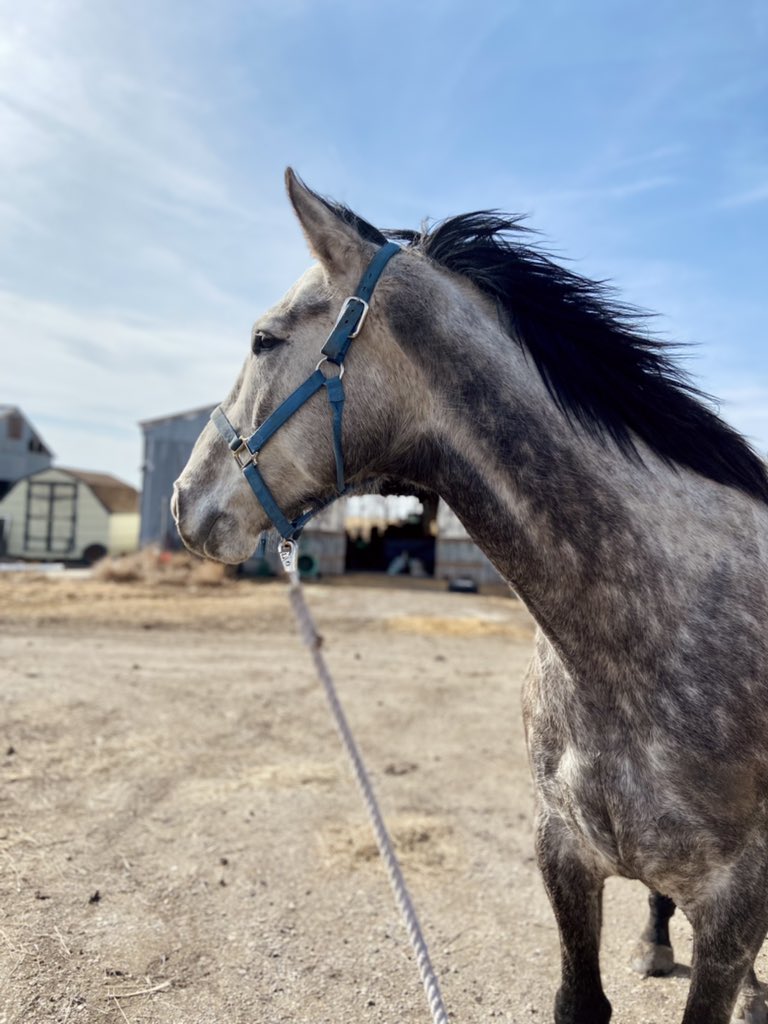 ThatPinto's tweet image. Holy smokes