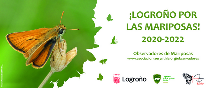asocZERYNTHIA's tweet photo. Ya está aquí la primavera! 🌸¿Eres de #Logroño y te interesan las #Mariposas? Ayúdanos a recoger observaciones de las diferentes especies del término municipal a través de nuestro proyecto #ObservadoresDeMariposas #LogroñoPorLasMariposas, con @AytoLogrono 
https://t.co/PqXzbmy3xX https://t.co/OacX0epUK7