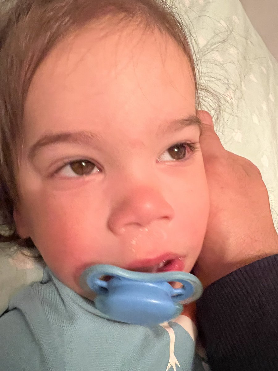 Corey Herscu 🇮🇱 tweet media