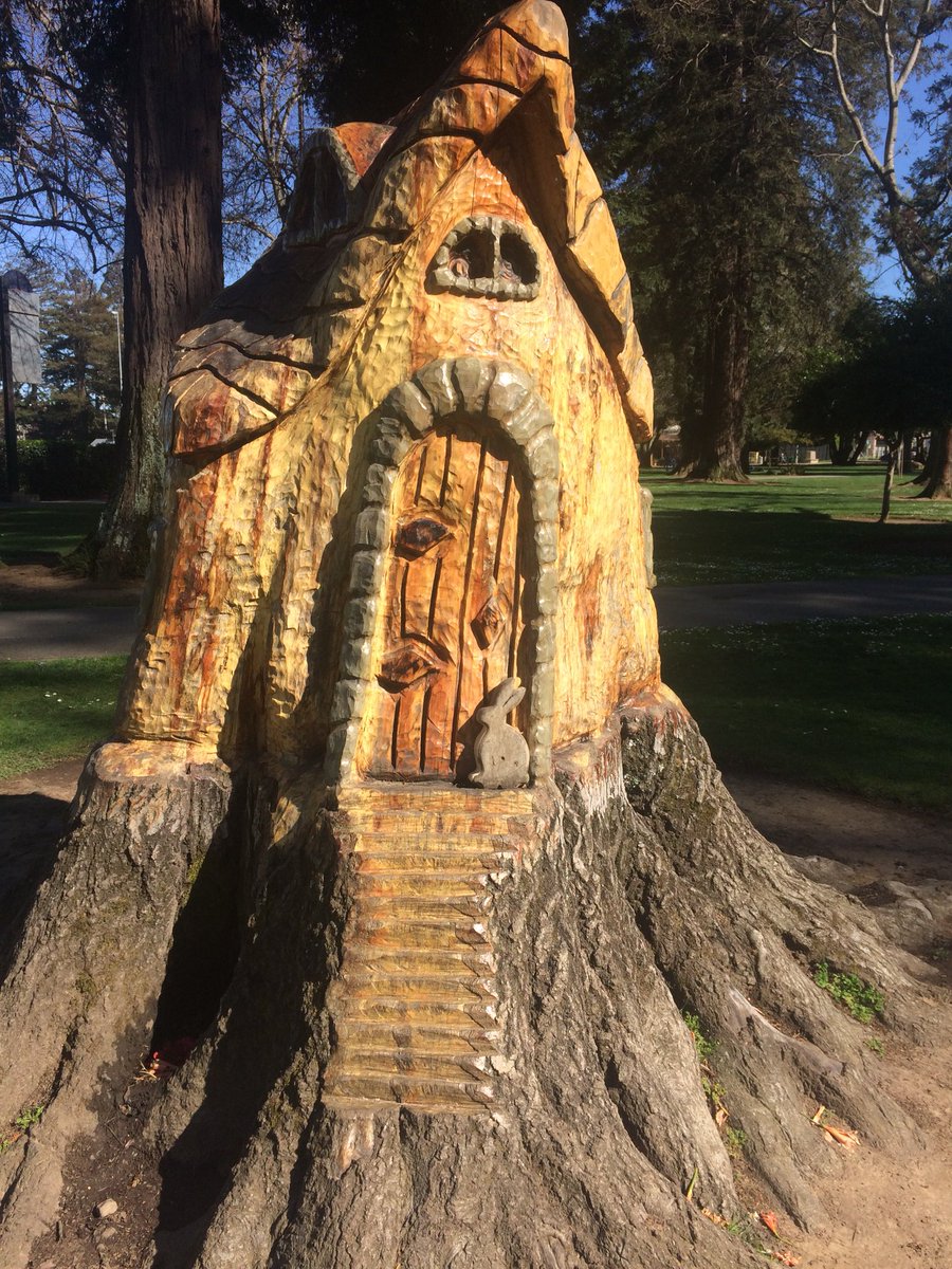 Kalifornian kevät 😍🌸