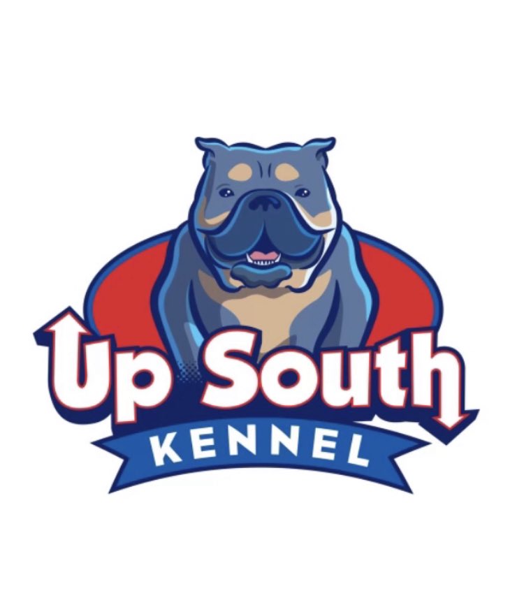 Blessfinesse1's tweet photo. Introducing Up South Kennel’s Ms Stella Rose🌟🌹💫 #UpSouthKennel 🐾 #OurGoldenGirl 💜 @MR_MADIS0N 💋 https://t.co/MjRXZ58dSc