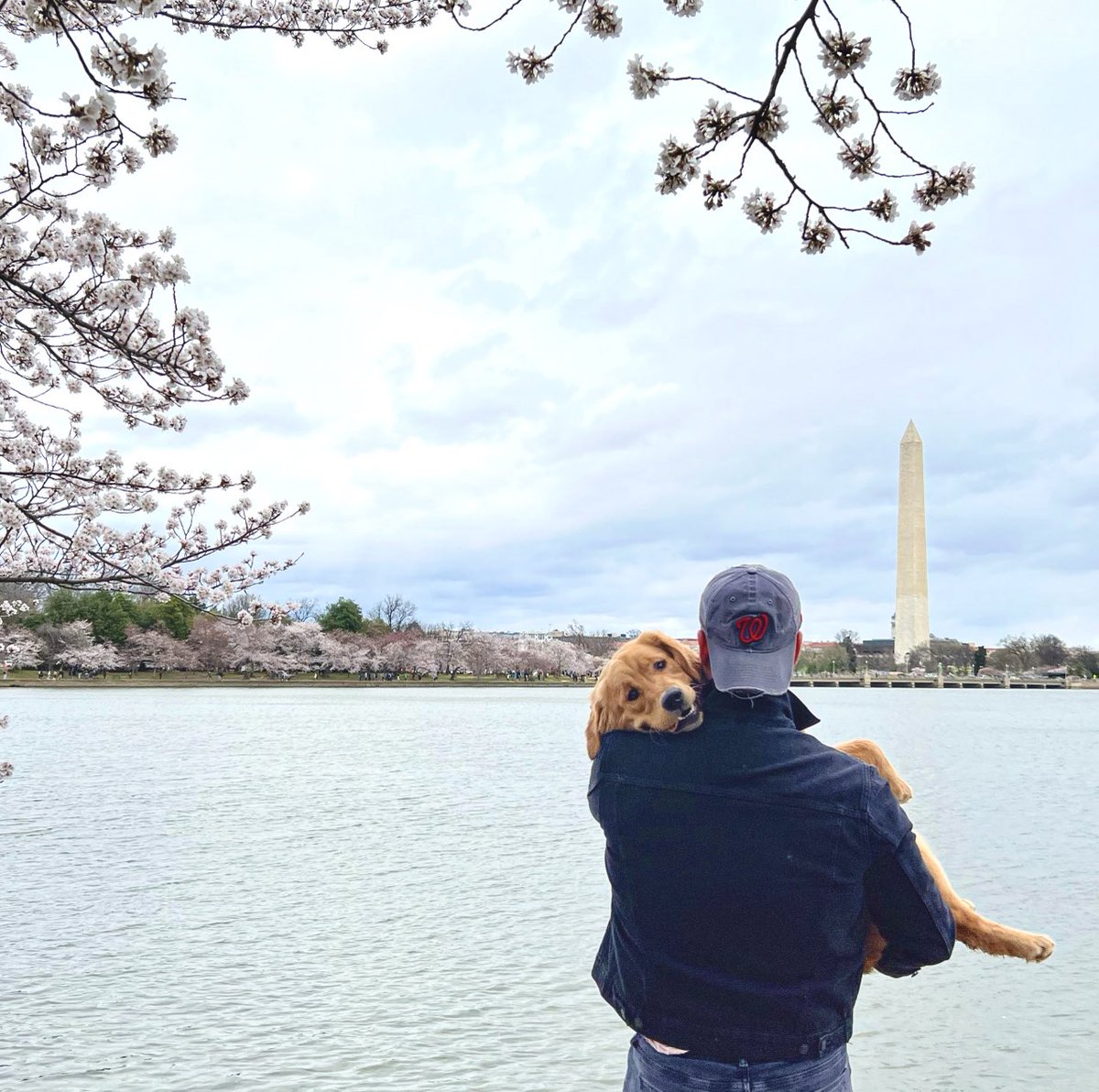 Aaron Ahlstrand-White tweet media