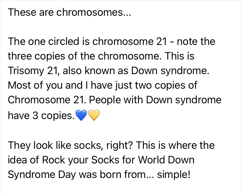 MelissaIser's tweet photo. 💙💛 #RockYourSocks 
#WorldDownSyndromeDay https://t.co/0Q3Ph3HbvU