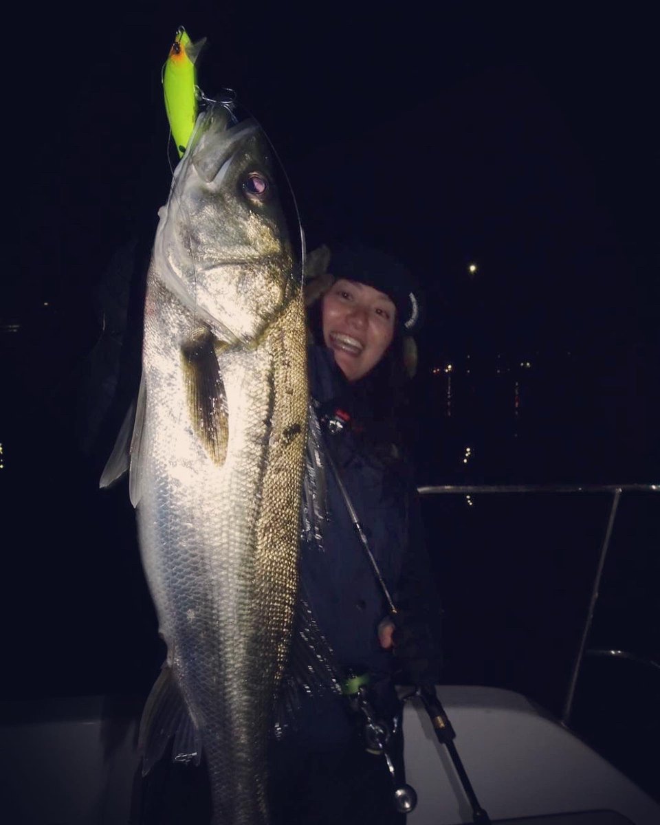 MayFishing's tweet photo. ボートシーバスに連れてってもらいました😆🙏part1
初ゼッパー80sでキャッチ😆🎣
良いとこ入ってアピールからのストンっと来てくれました🥺❤️
#blueblu #ゼッパー80s #シーバス
#湾奥シーバス #ボートシーバス
#チャート好き https://t.co/6PAuDynBk8