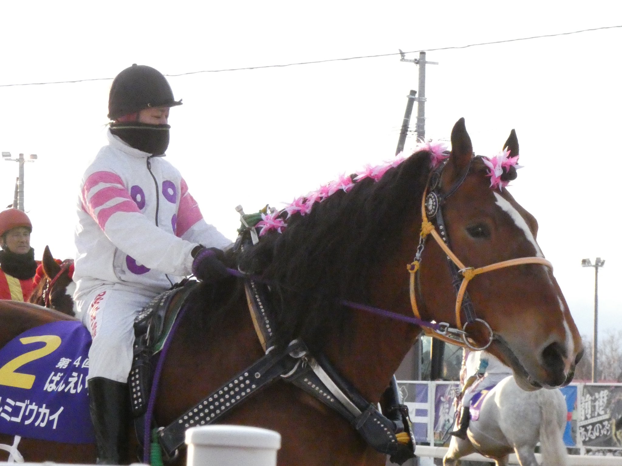 競馬 歴代ばんえい最強馬投票優勝馬 鈴木恵介騎手直筆サイン木箱 証明書入り蹄鉄 NcdR22Fo1596281791_m.jpg