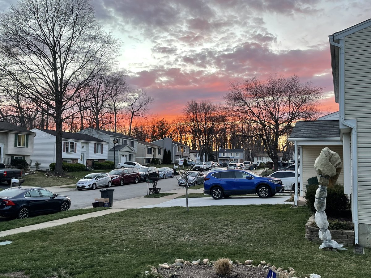 The Sibe + The Terv tweet media